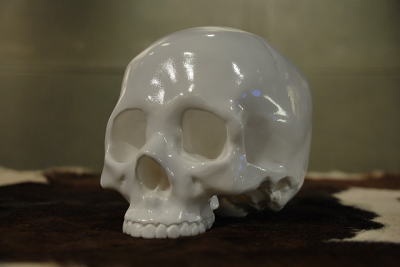 �V�F���^�[�o���N�@�I���W�i���@�g�C�@�h�N���@�q���[�}���@���@�摜�@�΂�